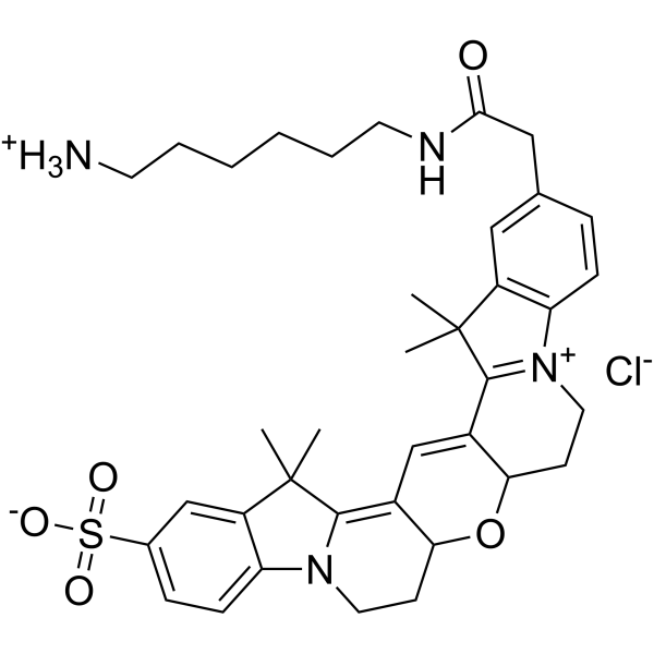 Cy3Bamine chloride